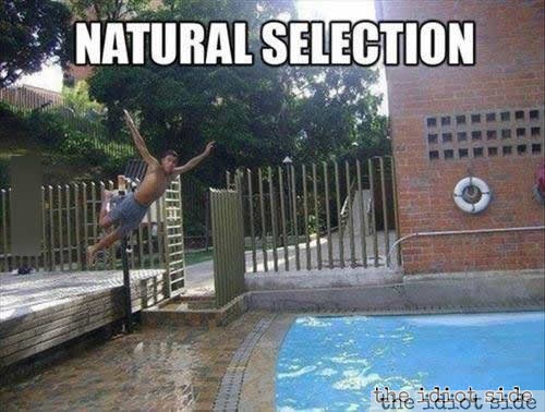 Natural Selection