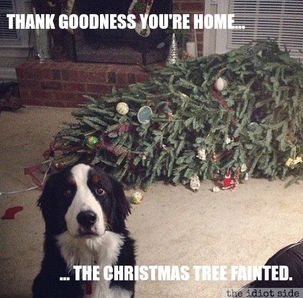 Thank Goodness You're Home ....