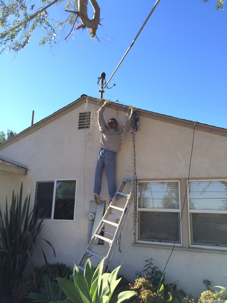 Christmas Lights Prank (3 Photos)