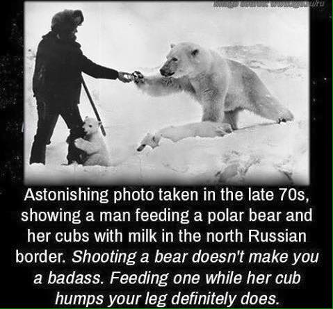 Badass or mad?