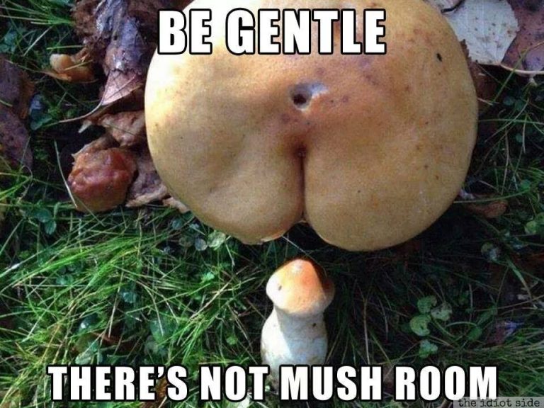 Be Gentle