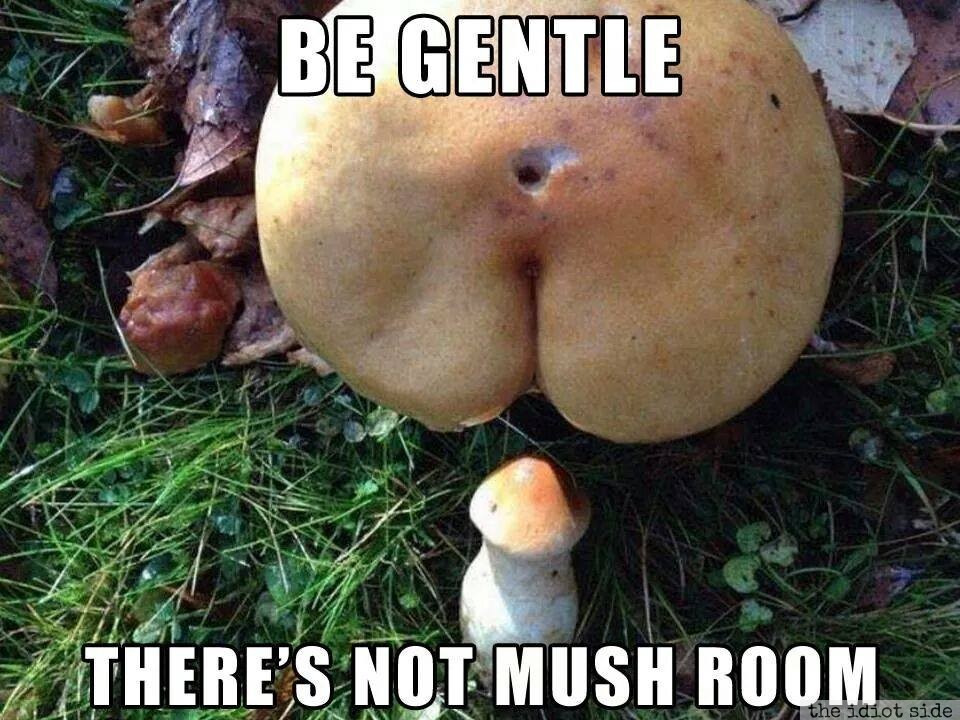 Be Gentle