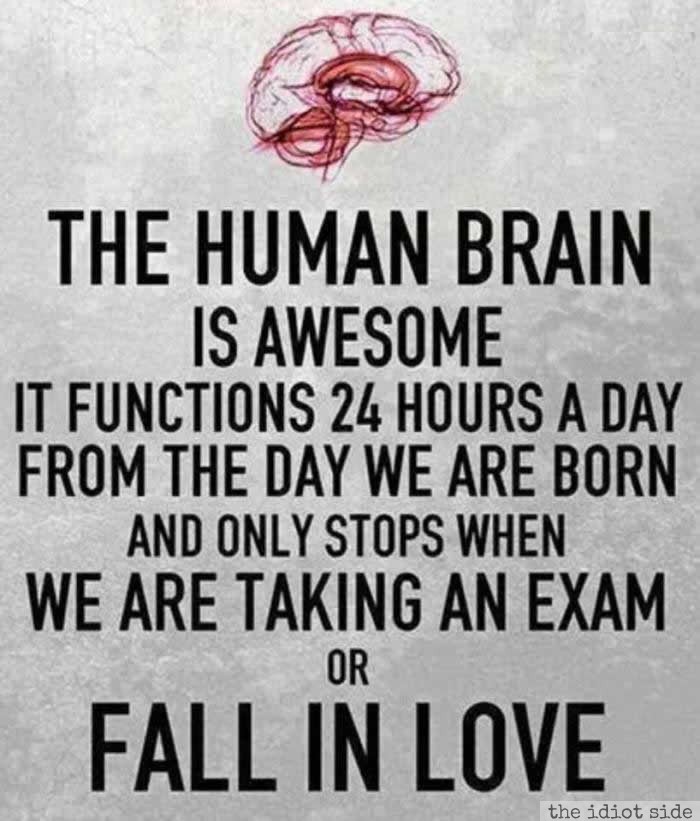 Damn it brain!