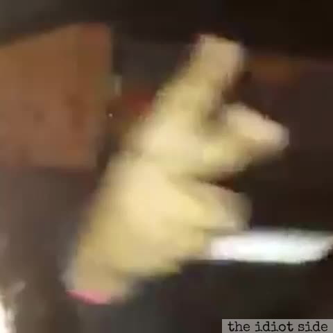 This Sheep Is Turning Up